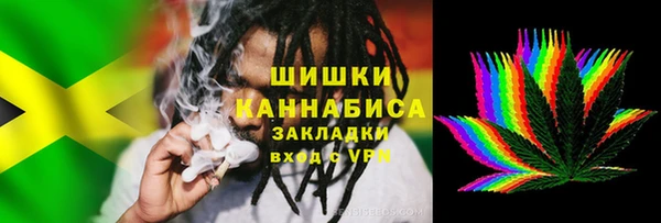 соль ск Дмитров