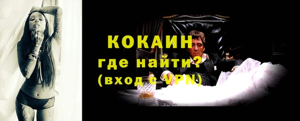 гидропоника Дмитриев