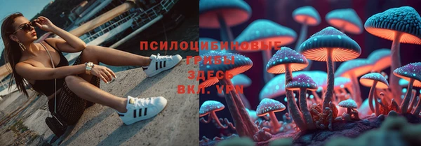 соль ск Дмитров