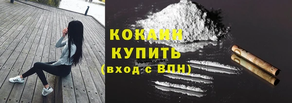 соль ск Дмитров